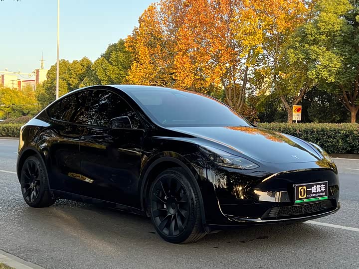 Фото 6 - Tesla Model Y