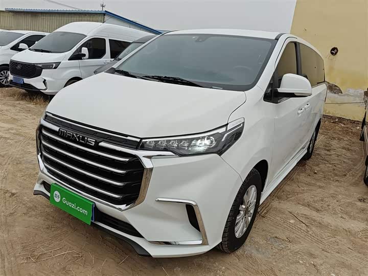 Фото 1 - Maxus G20