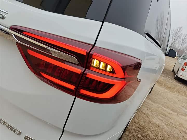 Фото 8 - Maxus G20