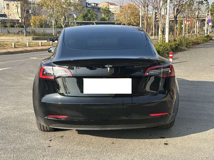 Фото 6 - Tesla Model 3