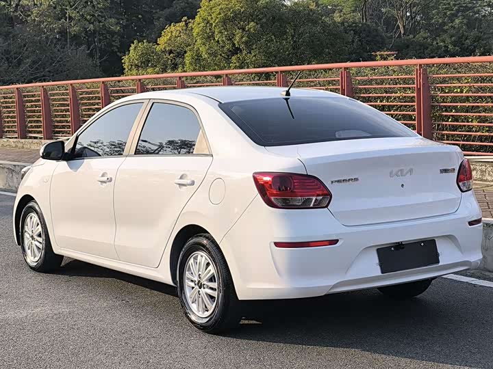 Фото 7 - Kia Pegas