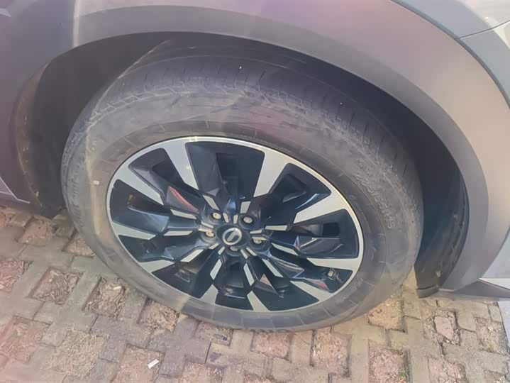 Фото 6 - GAC Trumpchi Emkoo