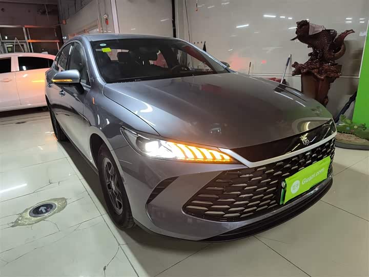 Фото 4 - BYD Qin Plus