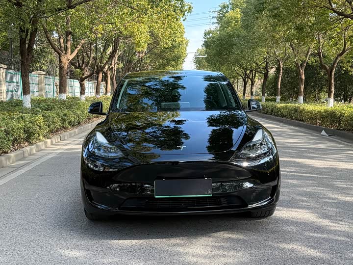 Фото 2 - Tesla Model Y