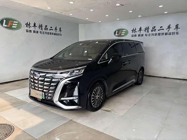 Фото 1 - Denza D9