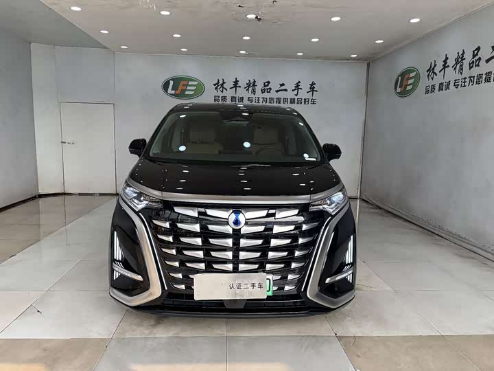 Фото 2 - Denza D9