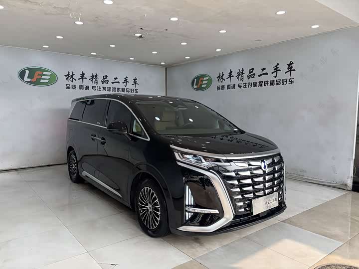 Фото 3 - Denza D9