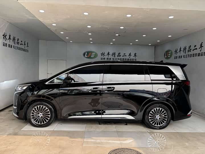 Фото 4 - Denza D9