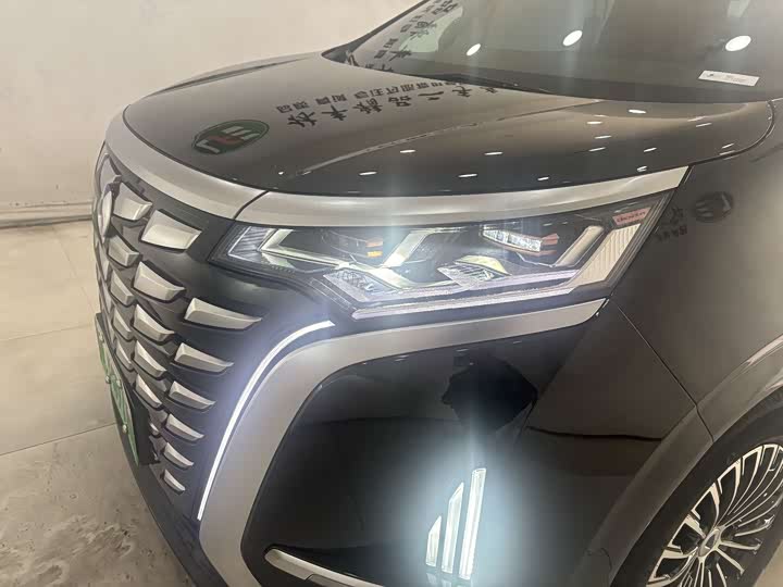 Фото 8 - Denza D9