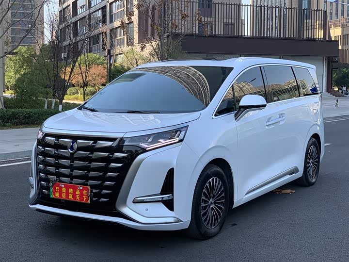 Фото 1 - Denza D9