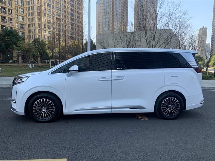 Фото 7 - Denza D9