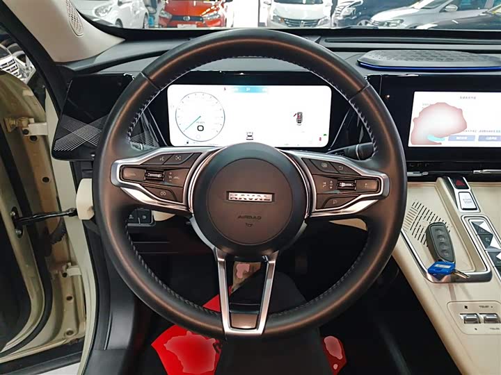 Фото 3 - Haval Ruge Max