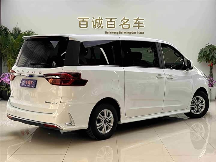 Фото 5 - Maxus G20