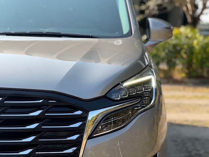 Фото 4 - Buick GL8 ES