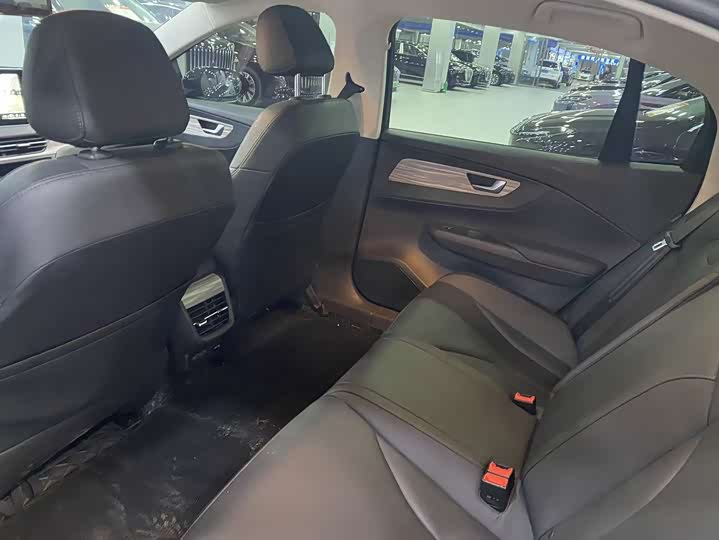 Фото 7 - Hongqi E-QM5