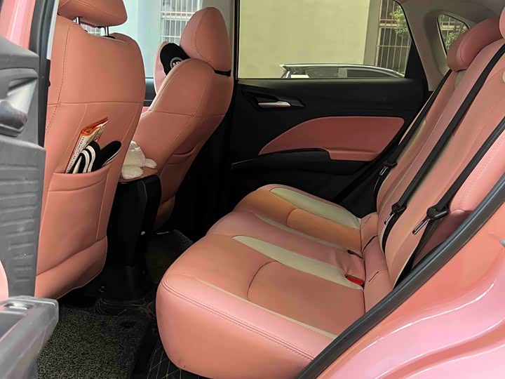 Фото 3 - Hozon V