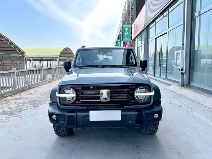 Фото 2 - Tank 300