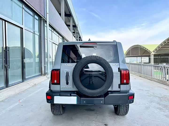 Фото 5 - Tank 300