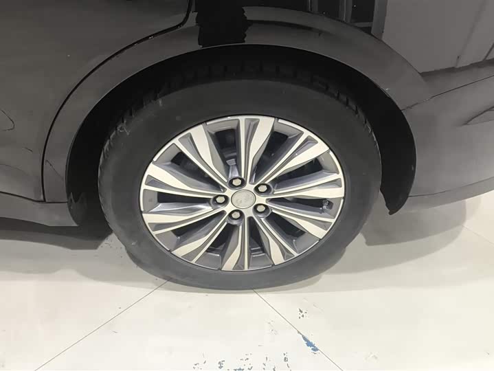 Фото 6 - Hongqi E-QM5