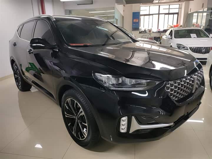 Фото 4 - Wey VV6