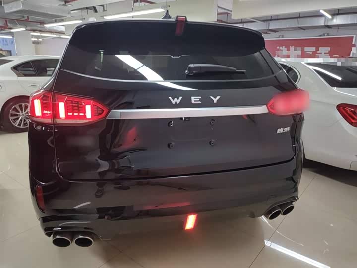 Фото 6 - Wey VV6