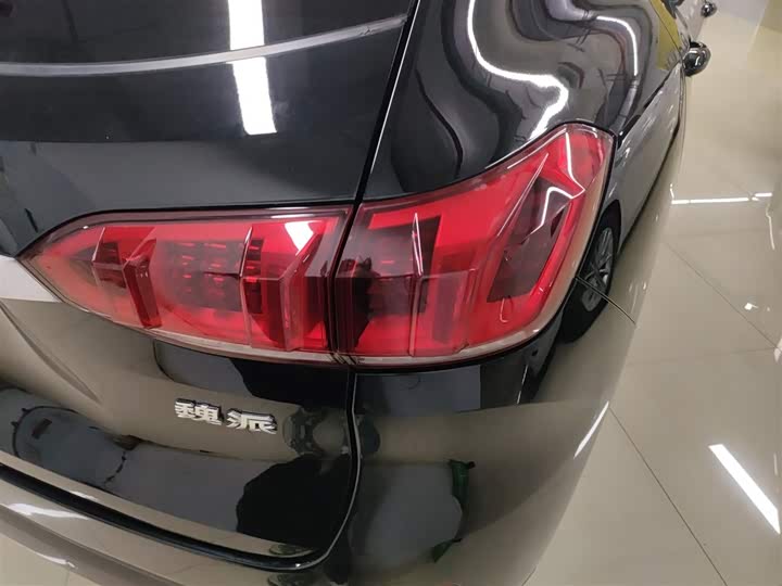 Фото 8 - Wey VV6