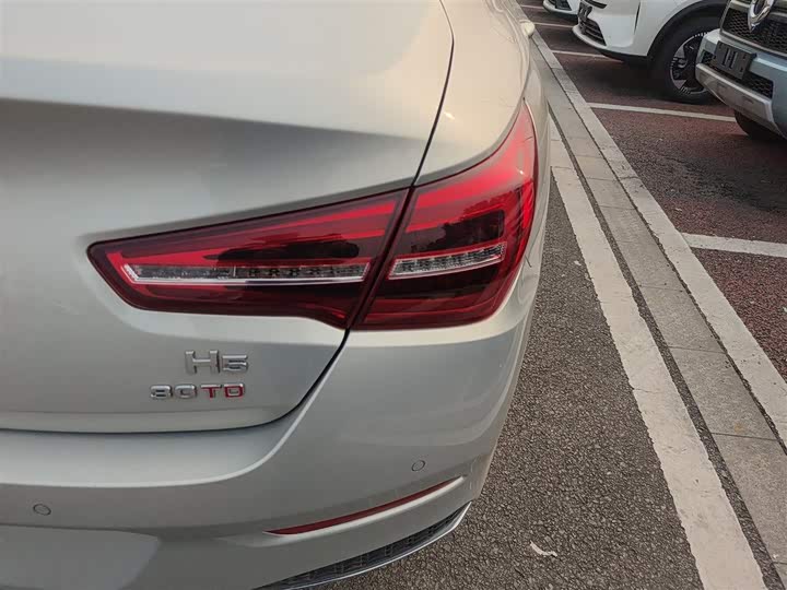 Фото 8 - Hongqi H5