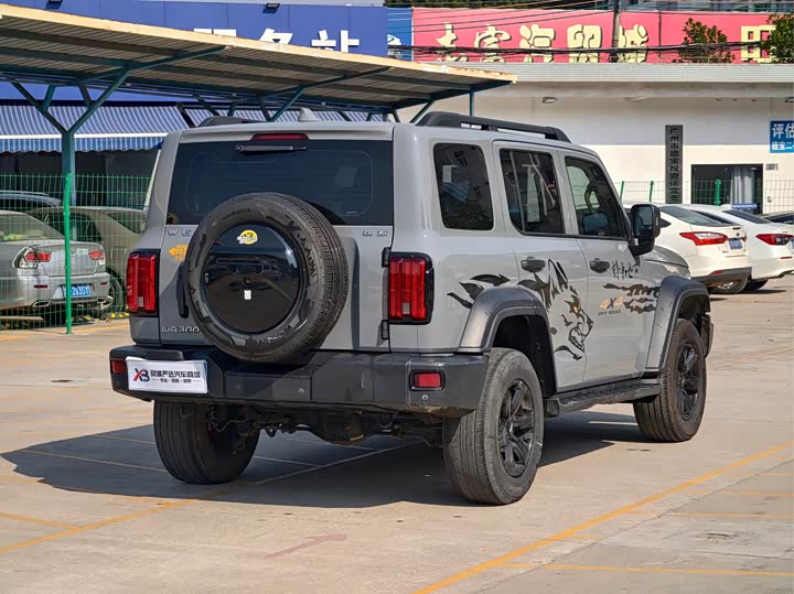 Фото 5 - Tank 300