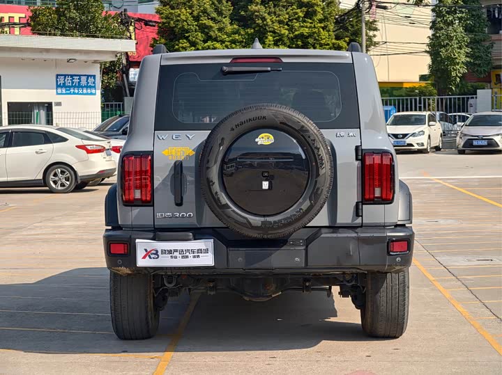 Фото 6 - Tank 300