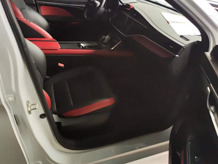 Фото 8 - Geely Binrui