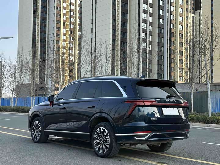 Фото 4 - Wey Lanshan