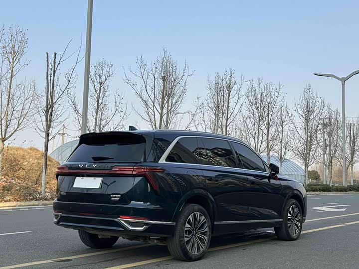 Фото 6 - Wey Lanshan