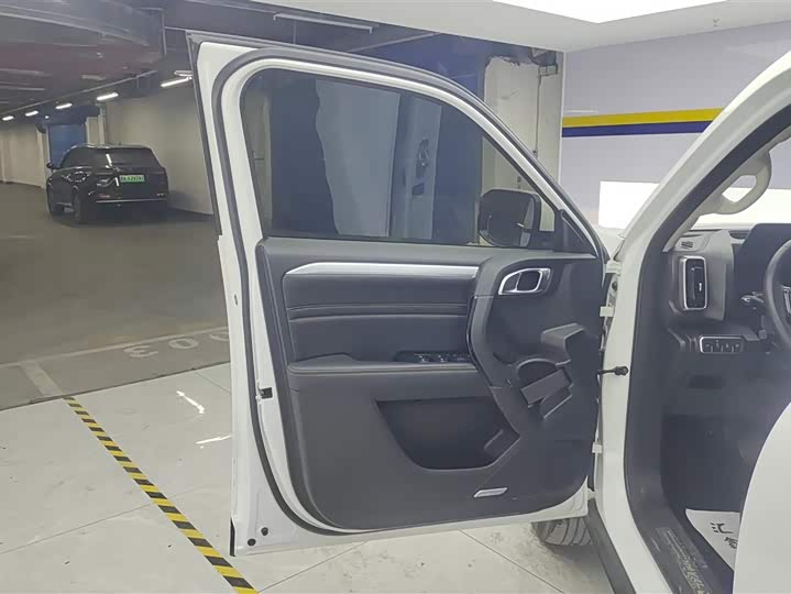 Фото 7 - Haval Dargo