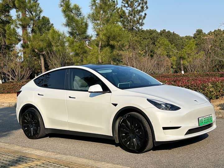 Фото 2 - Tesla Model Y