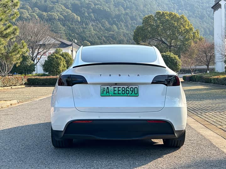 Фото 4 - Tesla Model Y