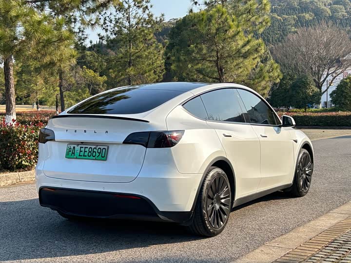 Фото 5 - Tesla Model Y