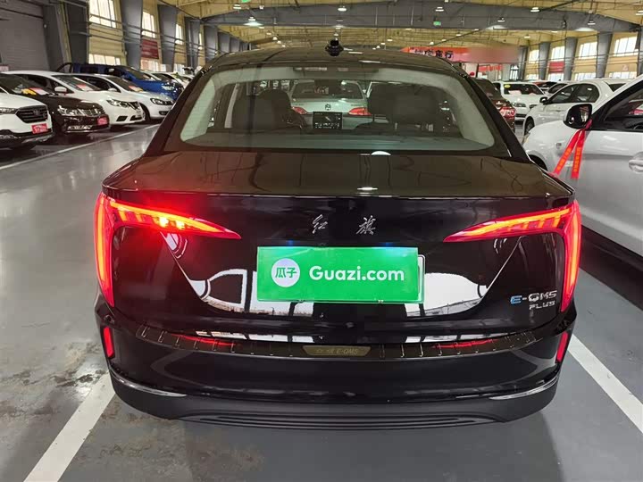 Фото 6 - Hongqi E-QM5