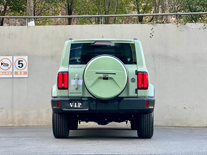 Фото 8 - Tank 300