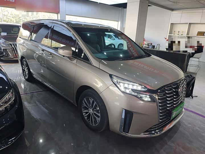 Фото 4 - Buick GL8 ES