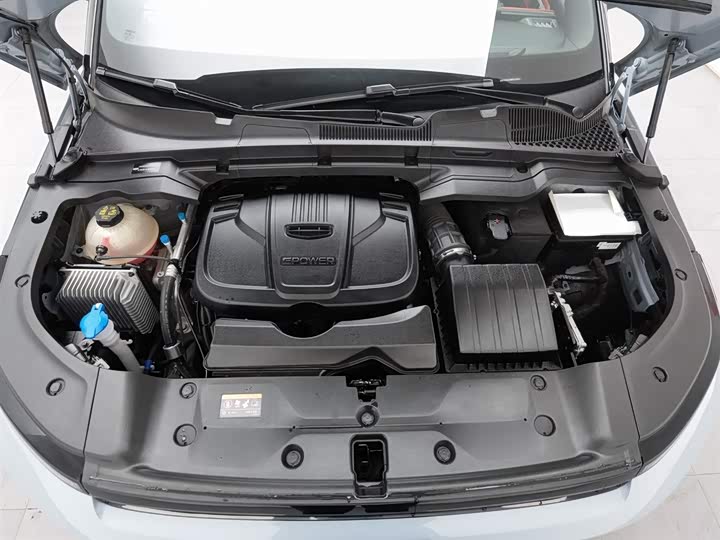 Фото 6 - Geely Icon