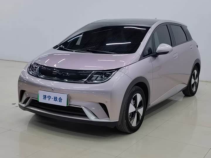 Фото 1 - BYD Dolphin