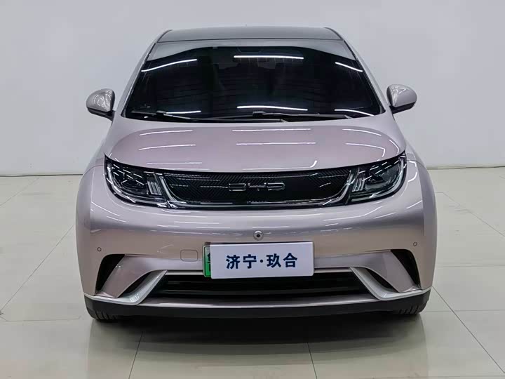 Фото 2 - BYD Dolphin