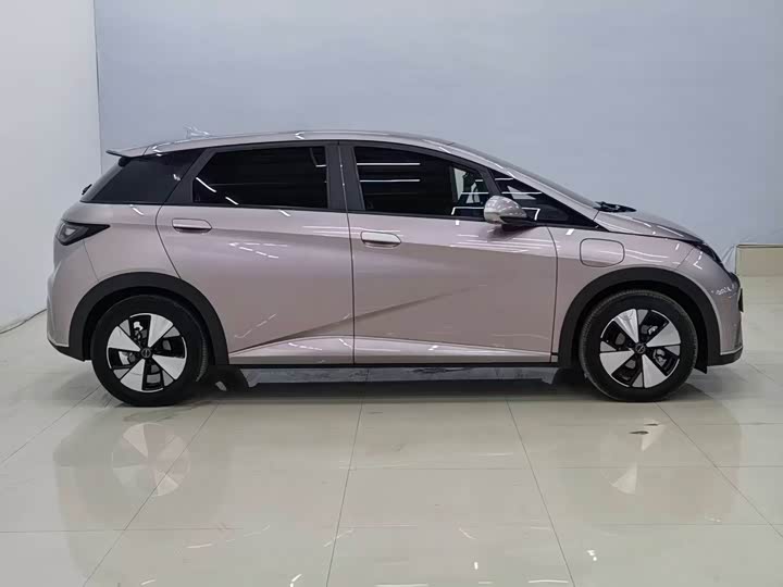 Фото 4 - BYD Dolphin