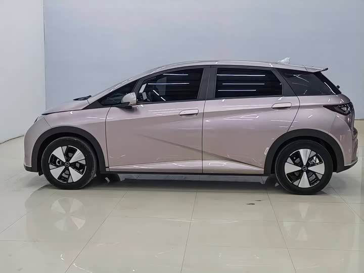 Фото 5 - BYD Dolphin