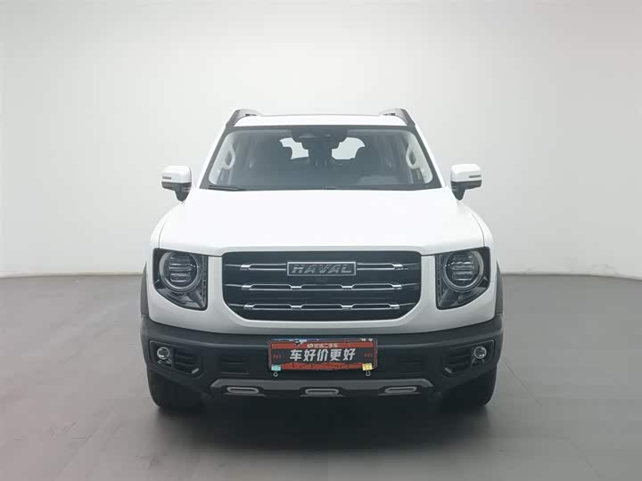 Фото 3 - Haval Dargo