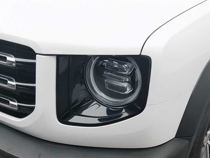 Фото 7 - Haval Dargo