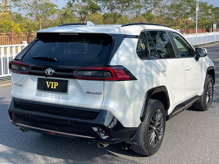 Фото 6 - Toyota Wildlander