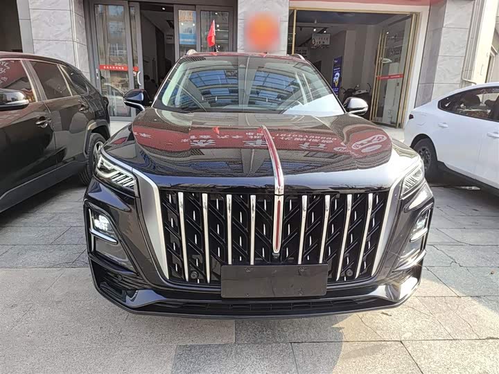 Фото 3 - Hongqi HS5