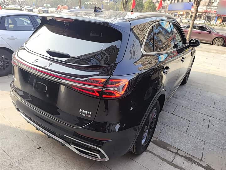 Фото 7 - Hongqi HS5