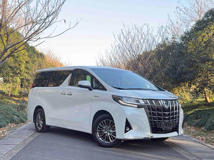 Фото 2 - Toyota Alphard